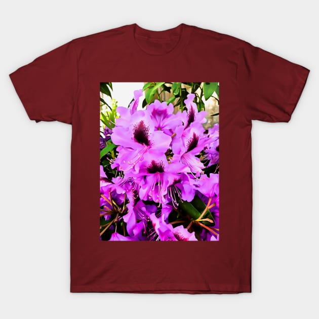 The Rhododendron T-Shirt by PictureNZ